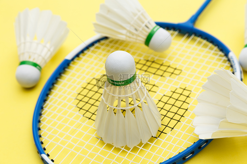 是一个社会 是一个社会