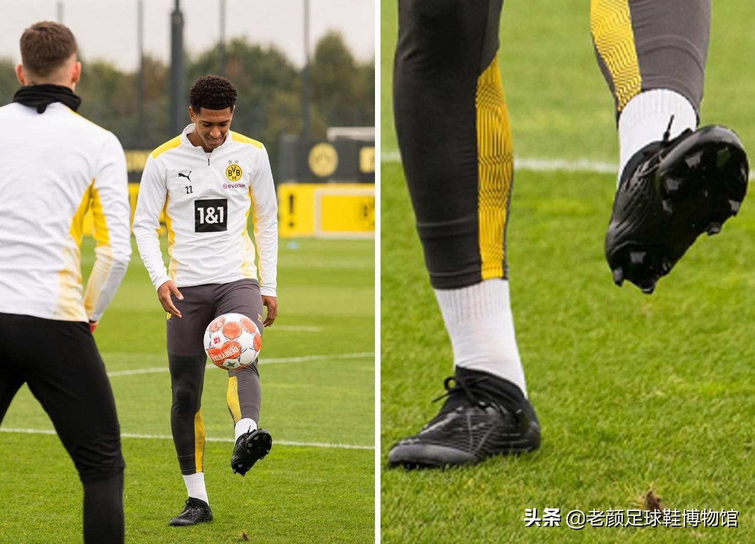 辽宁队的专 辽宁队的专